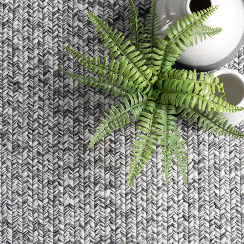 Birch Lane™ Bronte Casual Braided Gray/White Indoor/Outdoor Rug